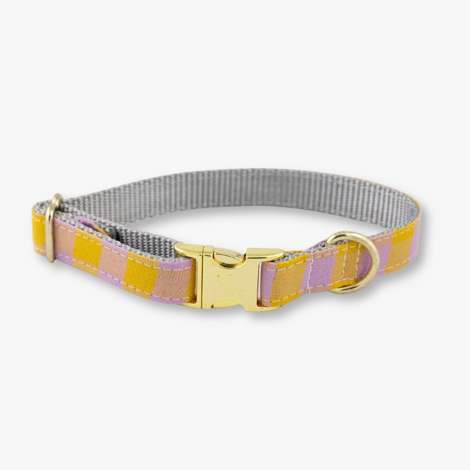 Dog collar with a gold buckle on a white background
