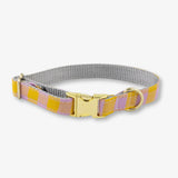 Dog collar with a gold buckle on a white background