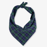 green tartan dog bandana