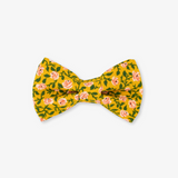 floral dog bow tie
