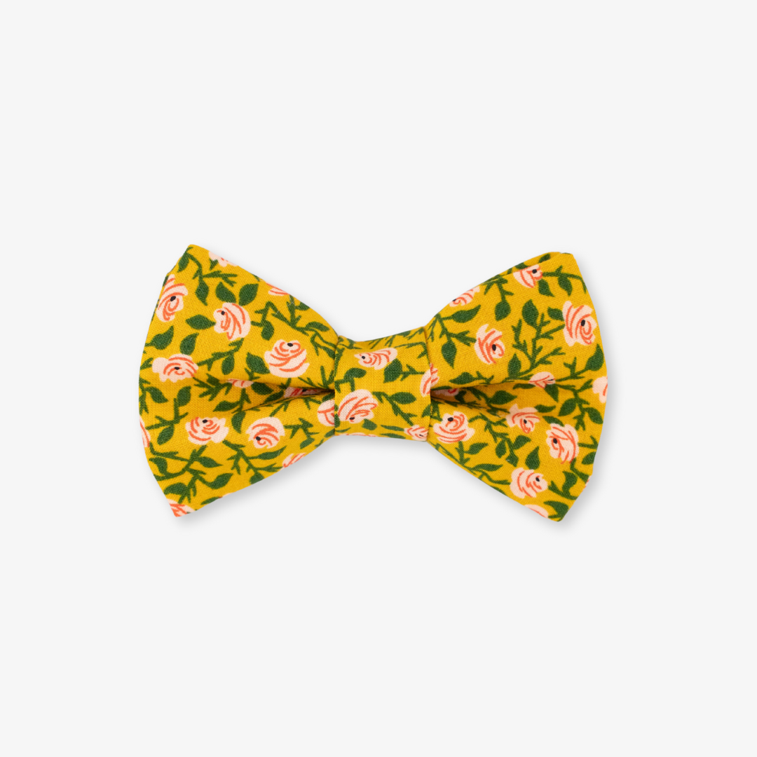 floral dog bow tie
