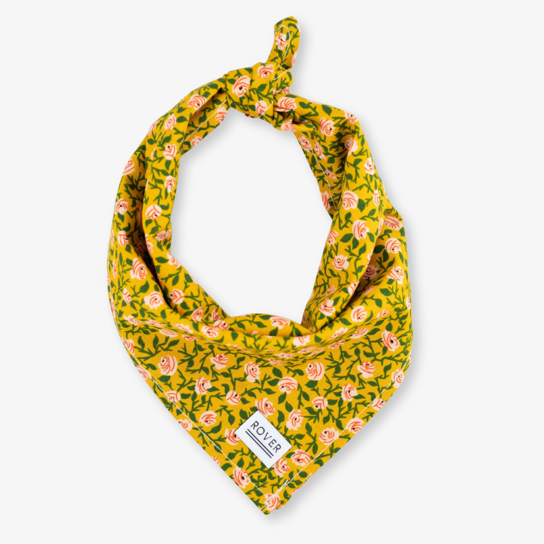 rose dog bandana