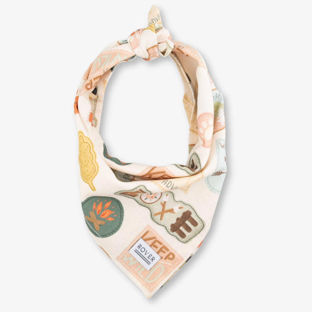 camp dog bandana