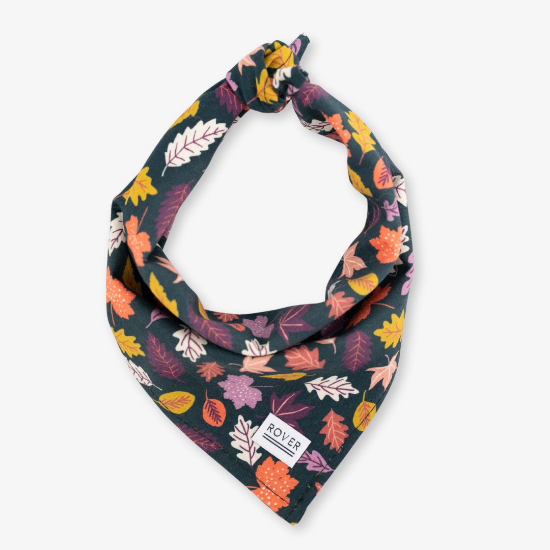 fall leaves dog bandana