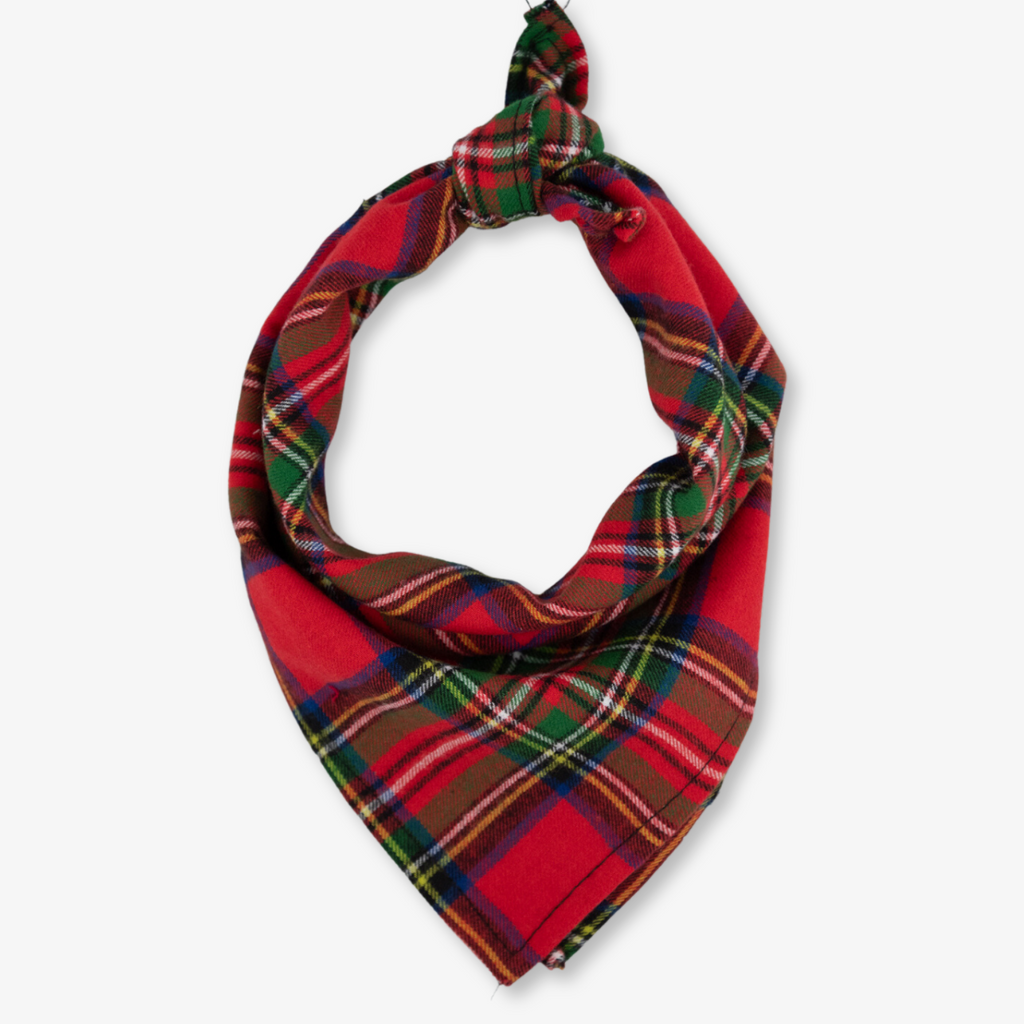 Plaid best sale dog scarf