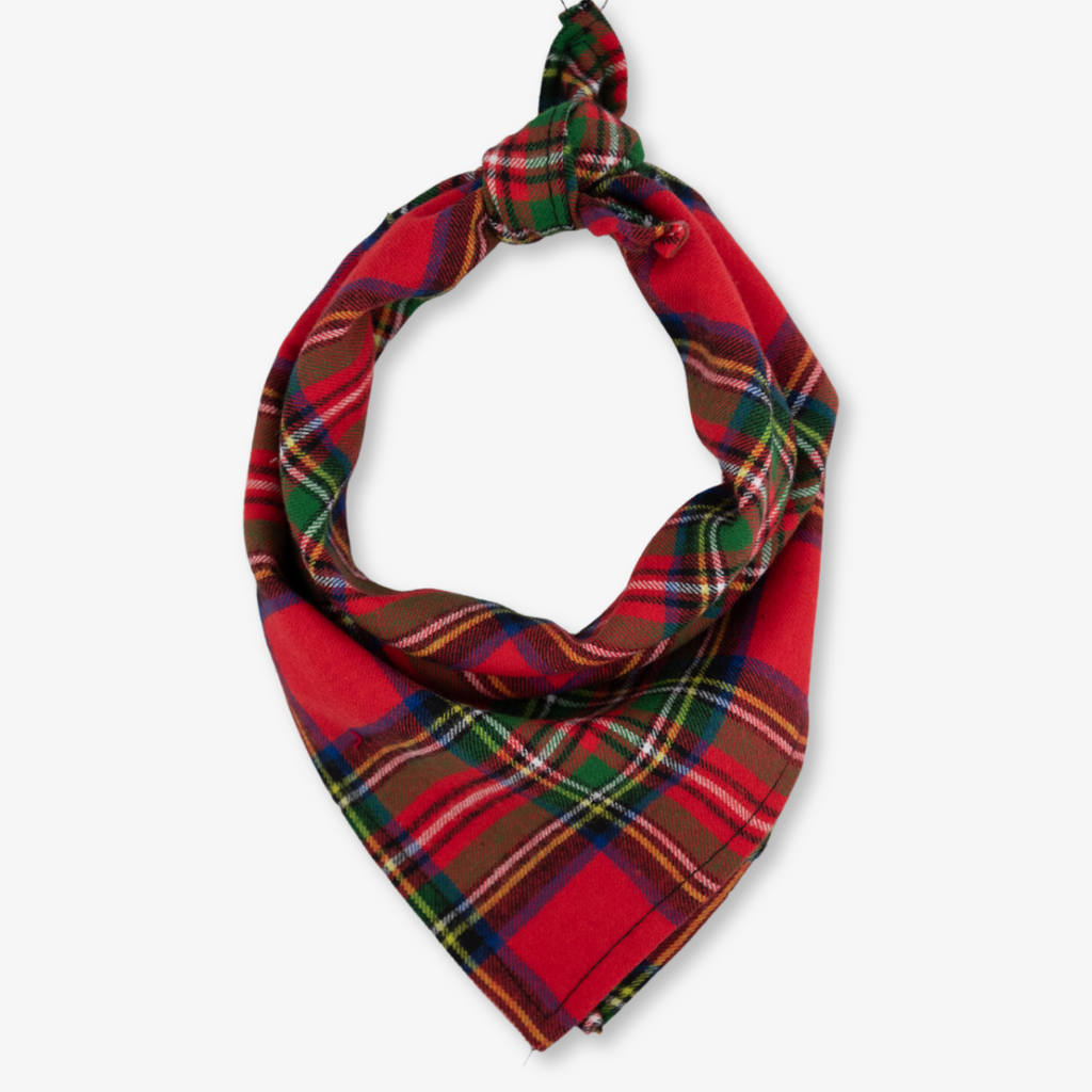 Plaid 2024 dog scarf