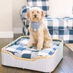 blue gingham dog bandana