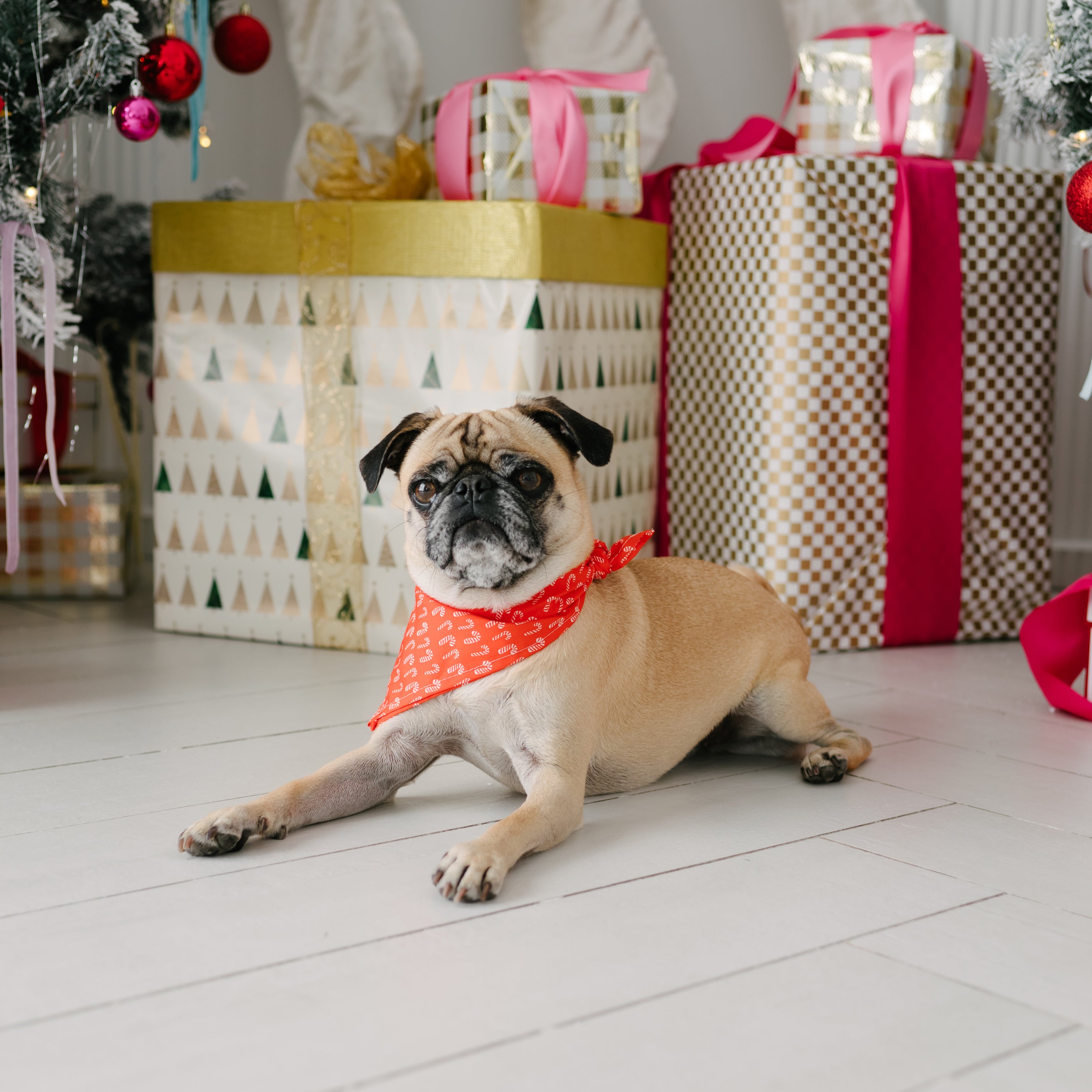 candy cane dog bandana