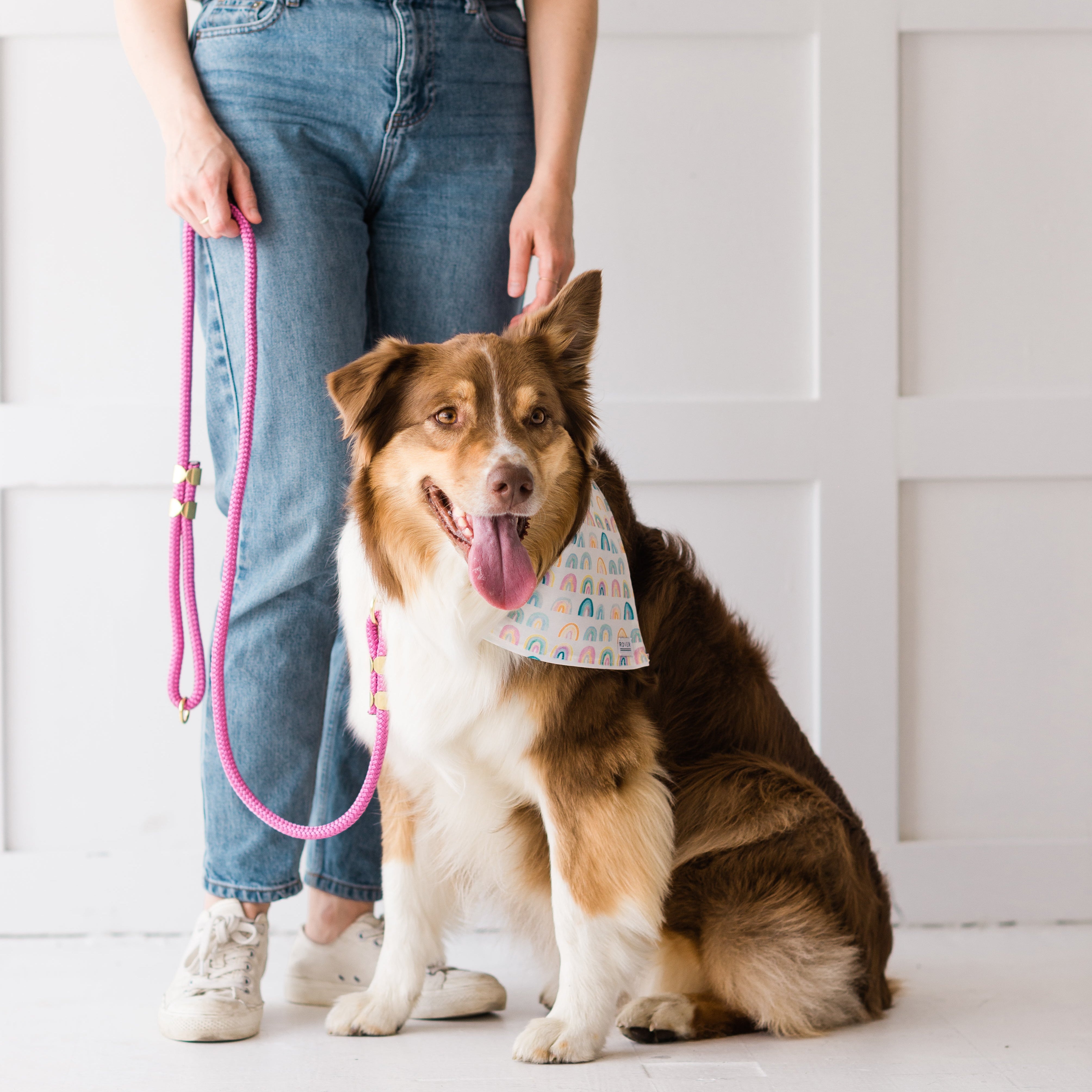 Dog wearing a bandana sitting next to a person holding a pink leash on a white floor.