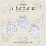 Mystery Dog Bandana Bundle