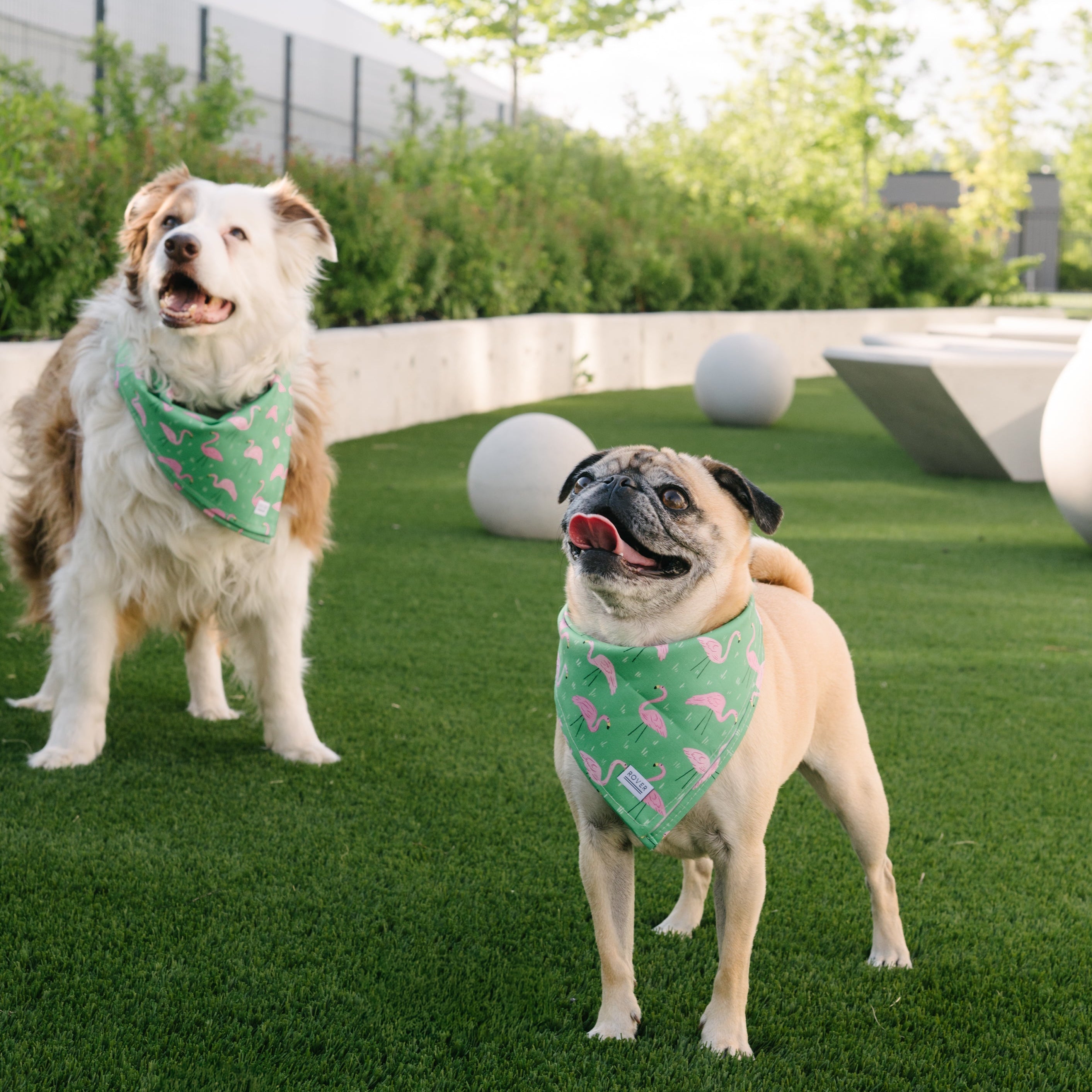 flamingo dog bandana