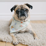 spring dog bandana
