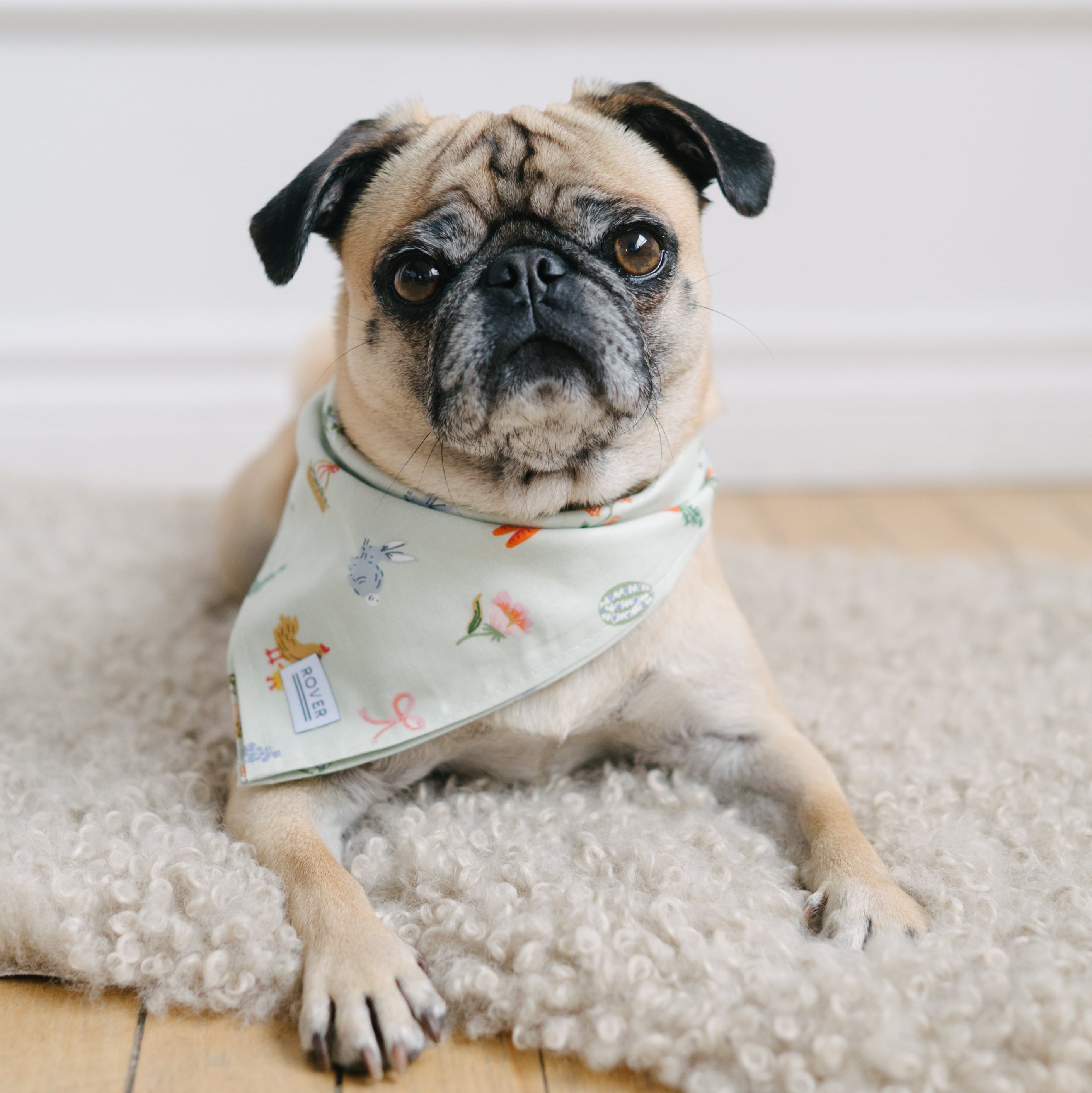 spring dog bandana