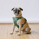 green dog harness