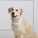 spring dog bandana