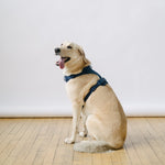navy dog harness