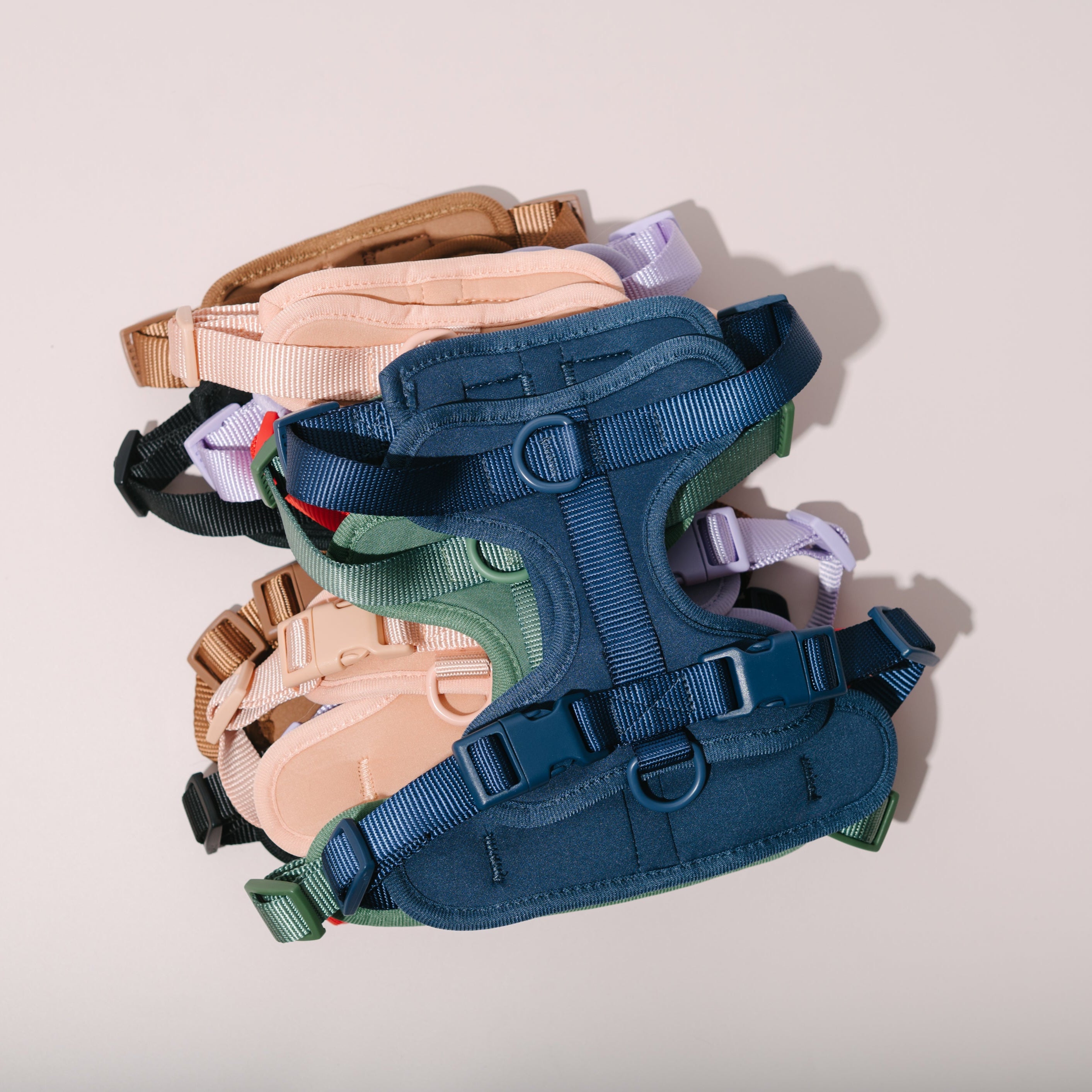 dog harness
