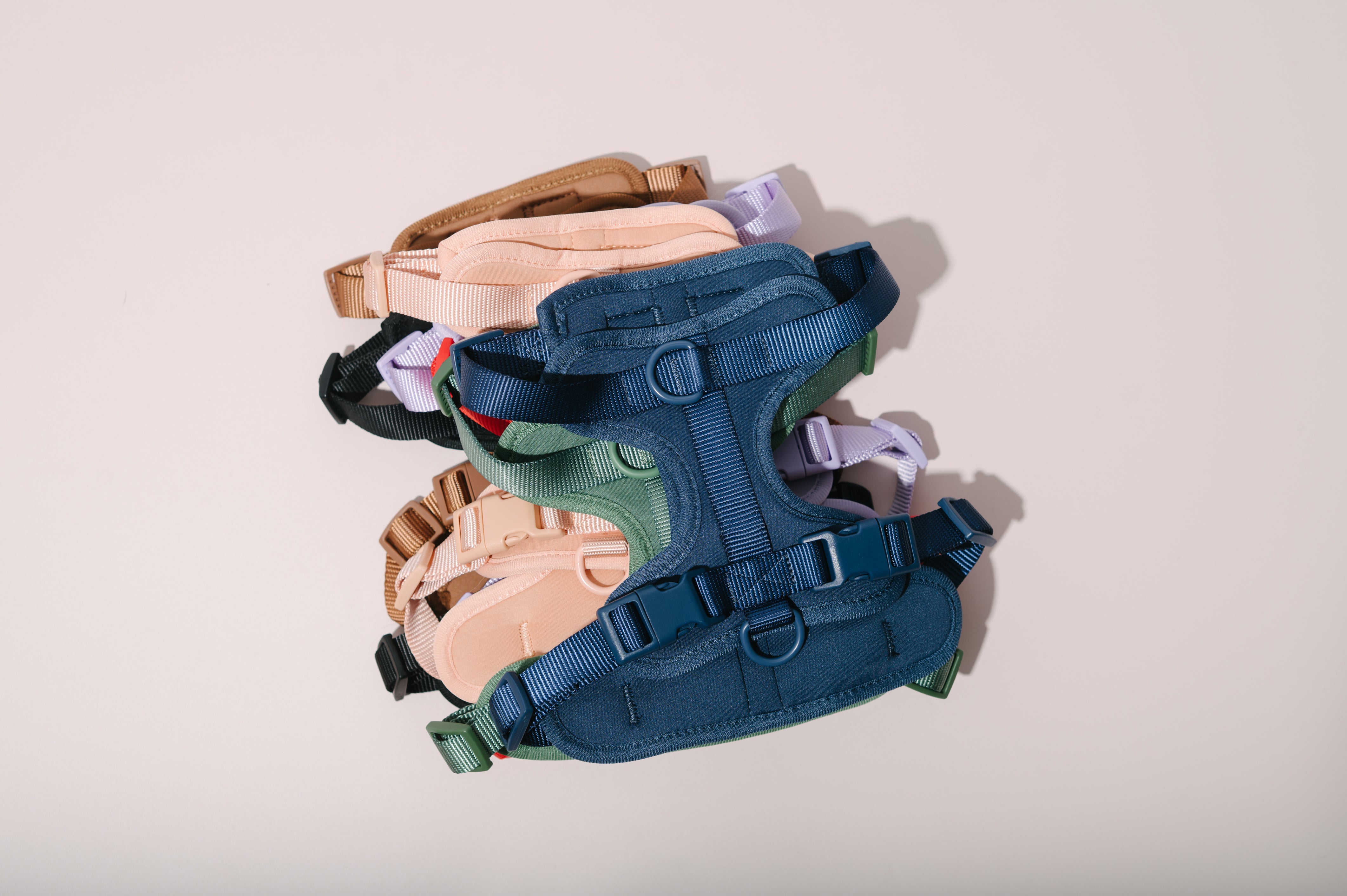 dog harness