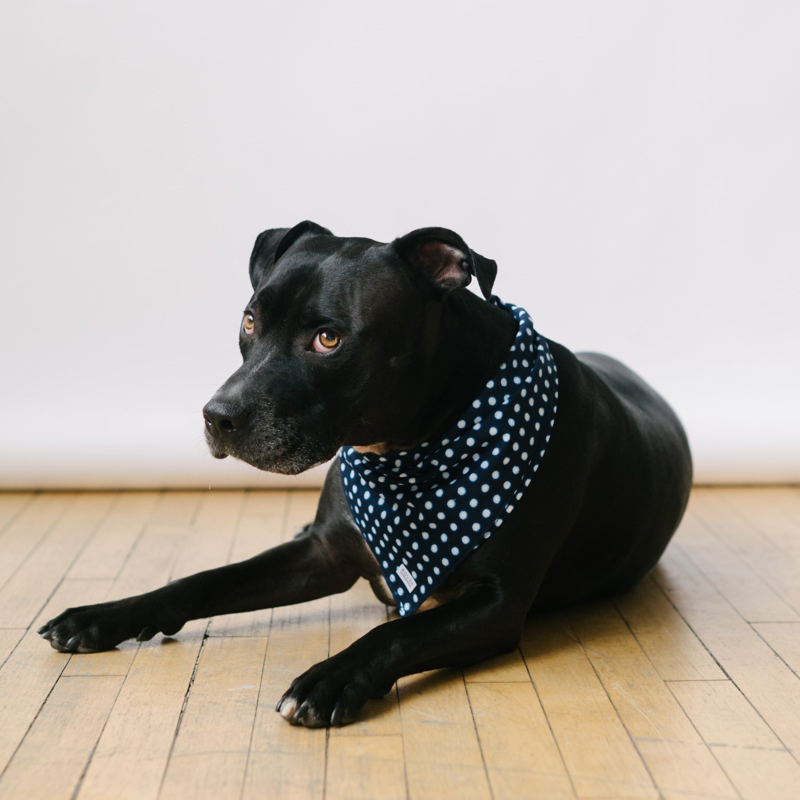Shibori Dog Bandana