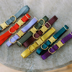 set of dog collars