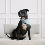 summer dog bandana