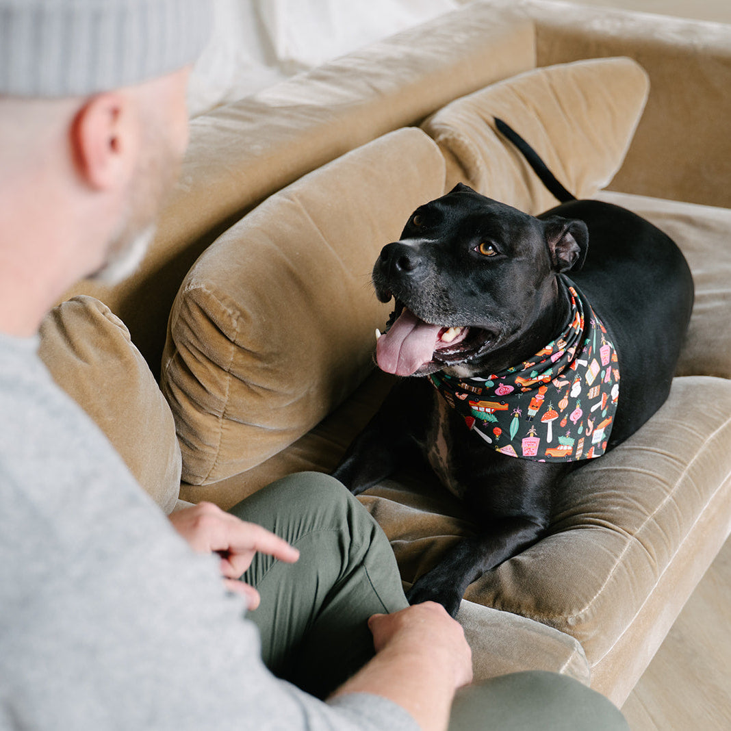 holly jolly dog bandana