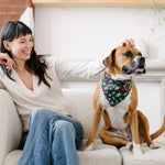 holiday dog bandana