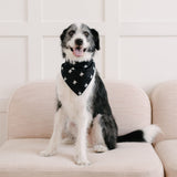 Skull Bandana