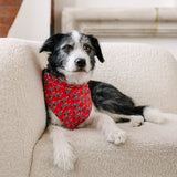 christmas tree dog bandana
