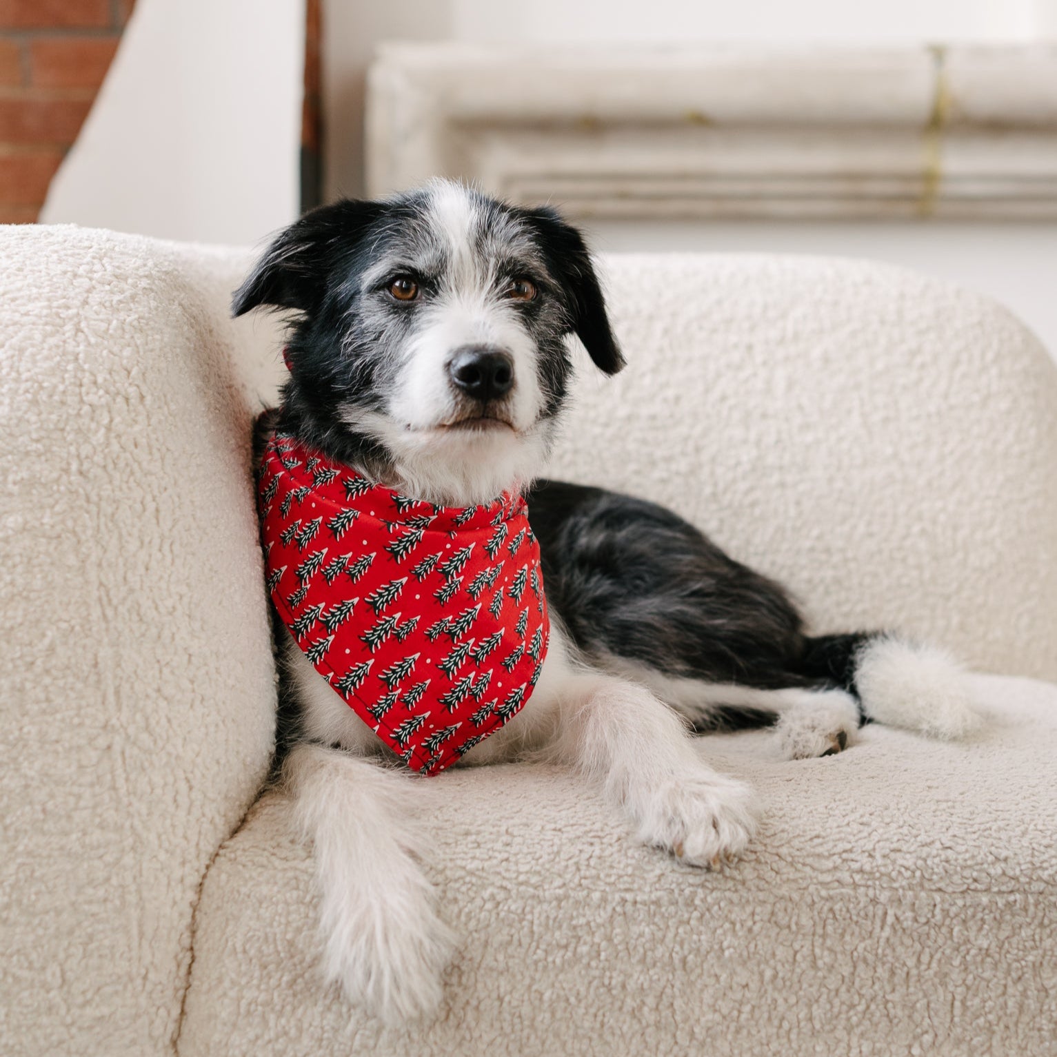 christmas tree dog bandana