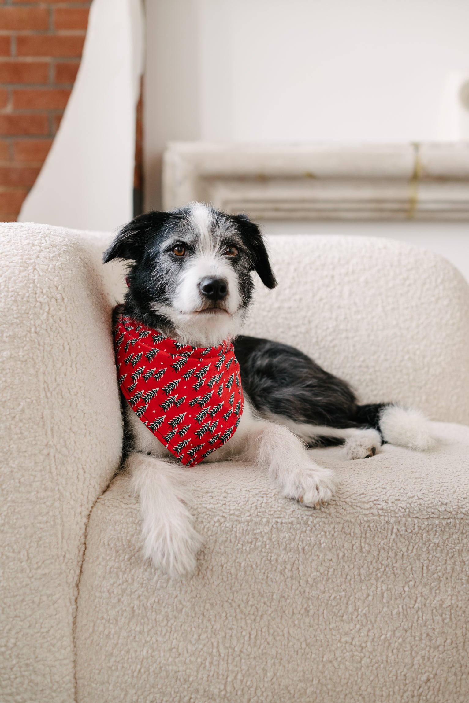 christmas tree dog bandana