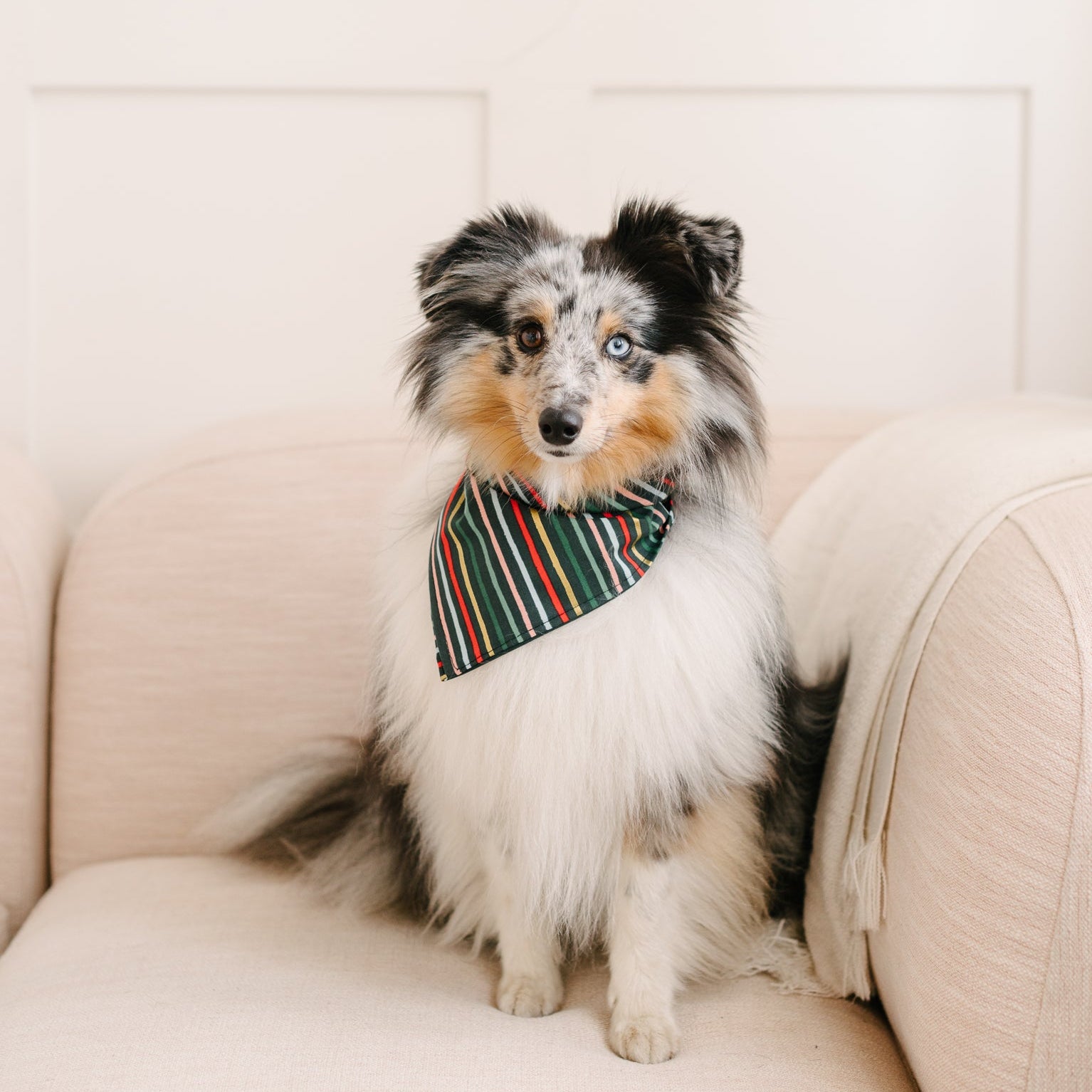 holiday stripe dog bandana