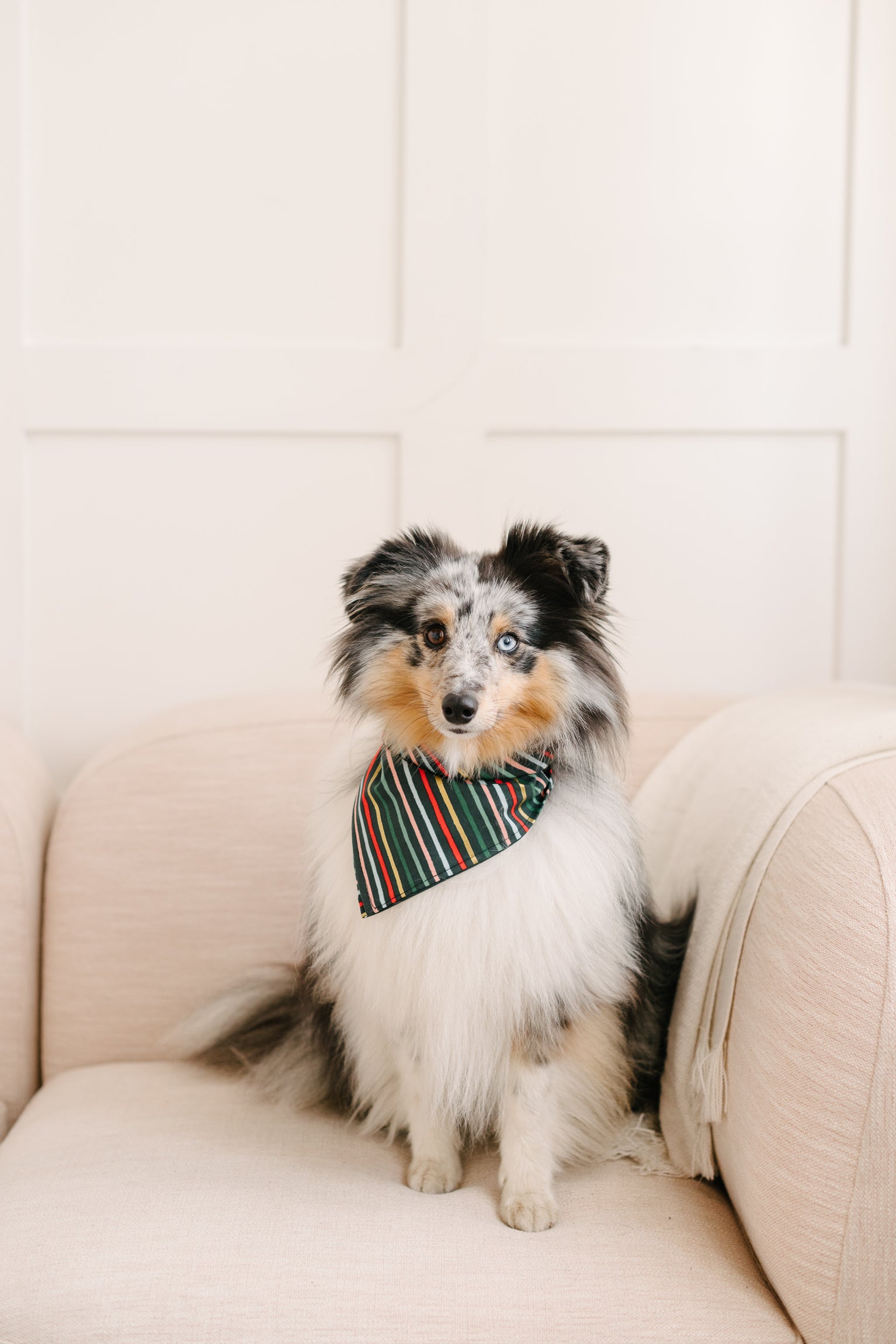 holiday stripe dog bandana