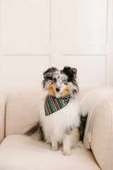 holiday stripe dog bandana