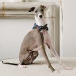 christmas lights dog bandana