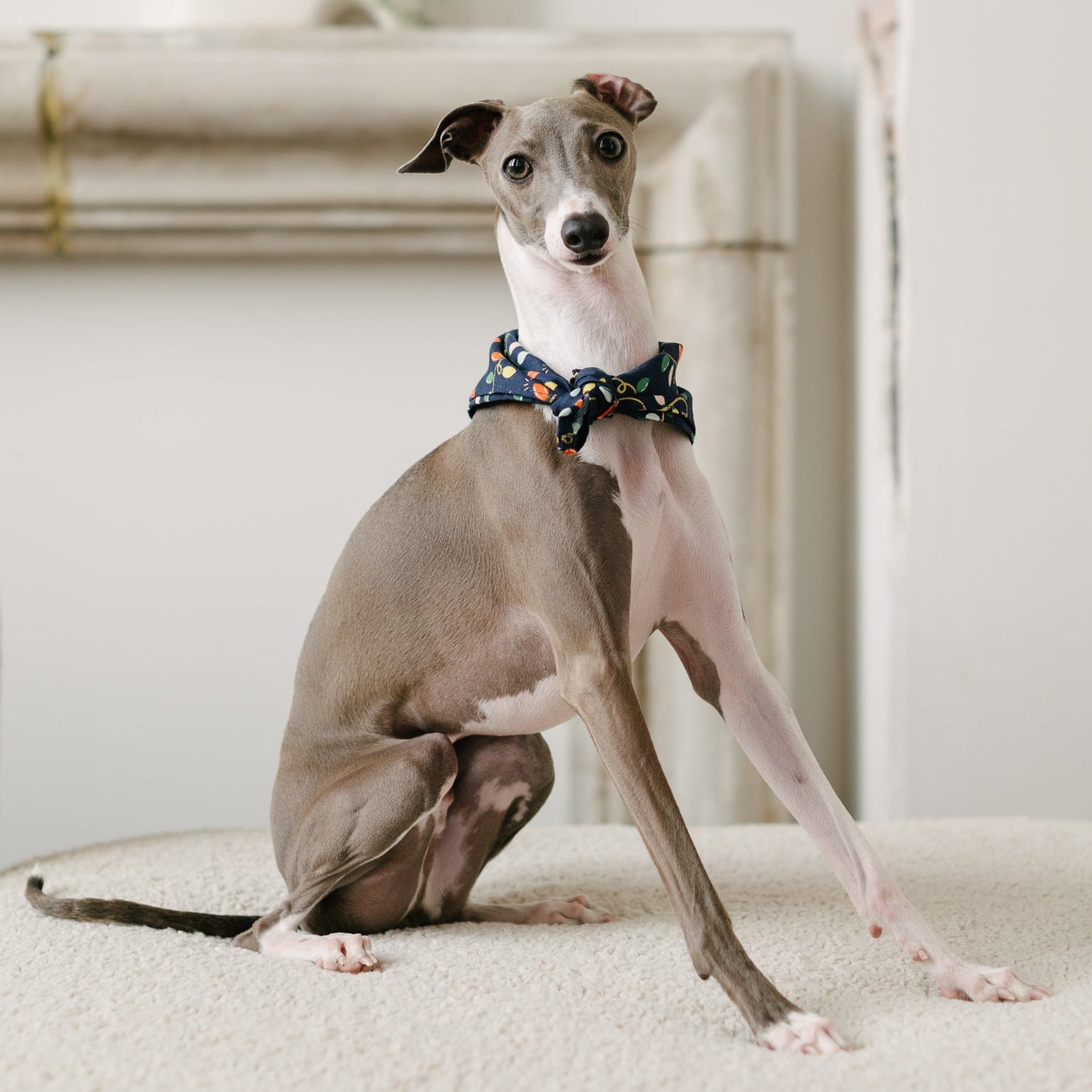 christmas lights dog bandana