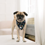 christmas lights dog bandana