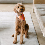 fall plaid dog bandana
