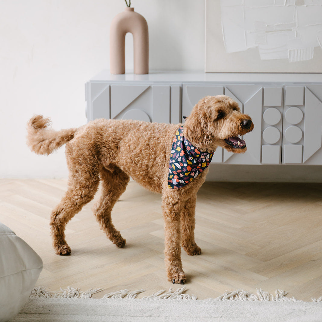 fall leaves dog bandana