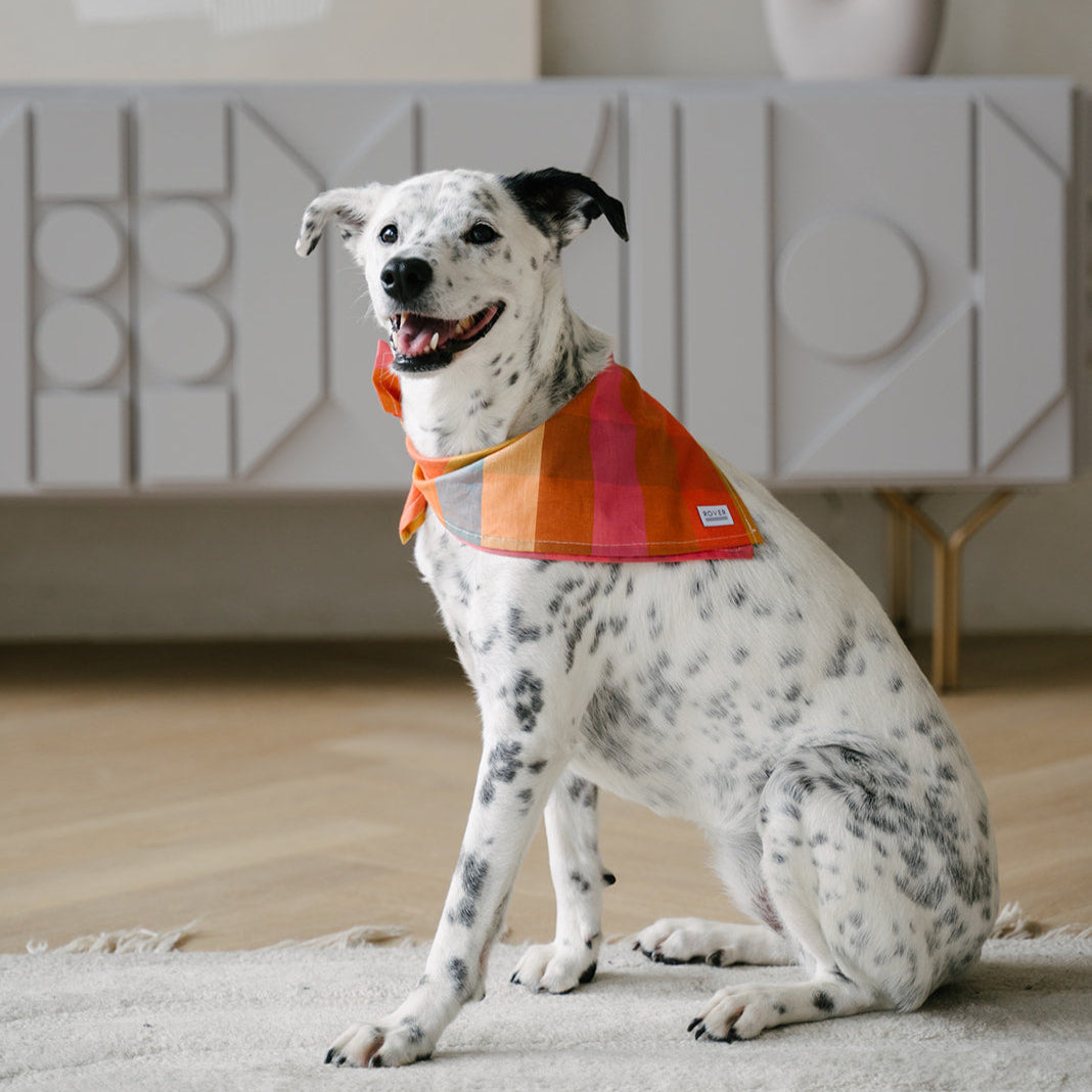 fall plaid dog bandana