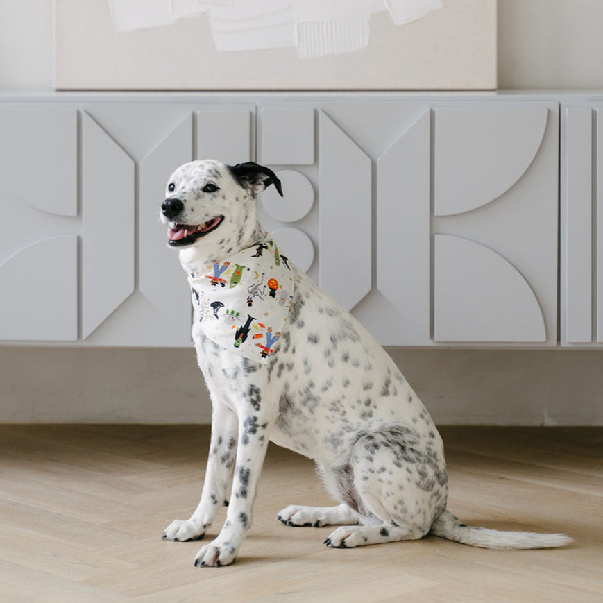 halloween dog bandana
