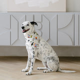 halloween dog bandana
