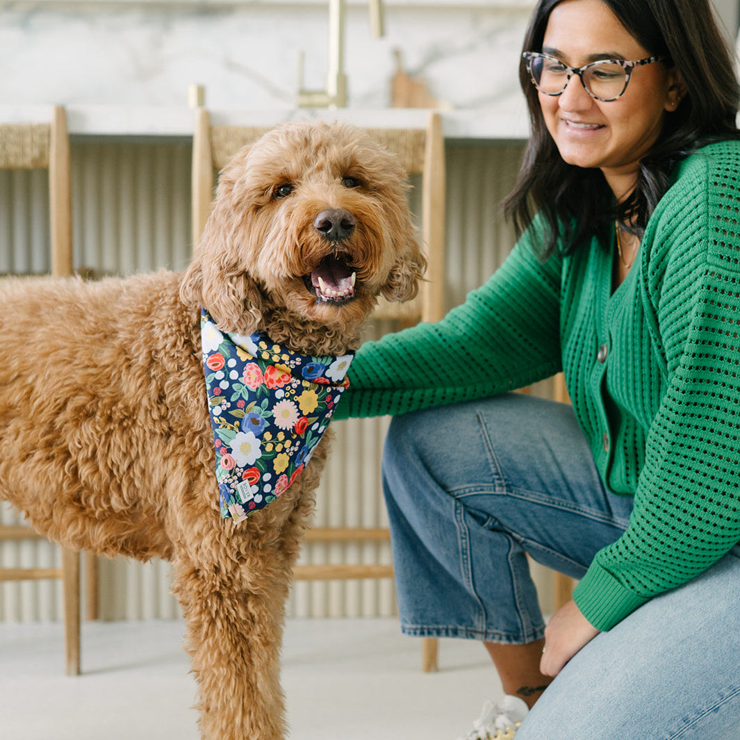 Woman in green sweater and blue jeans sitting on the floor with a brown dog wearing a floral bandana.