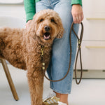 Person holding a dog on a leash indoors