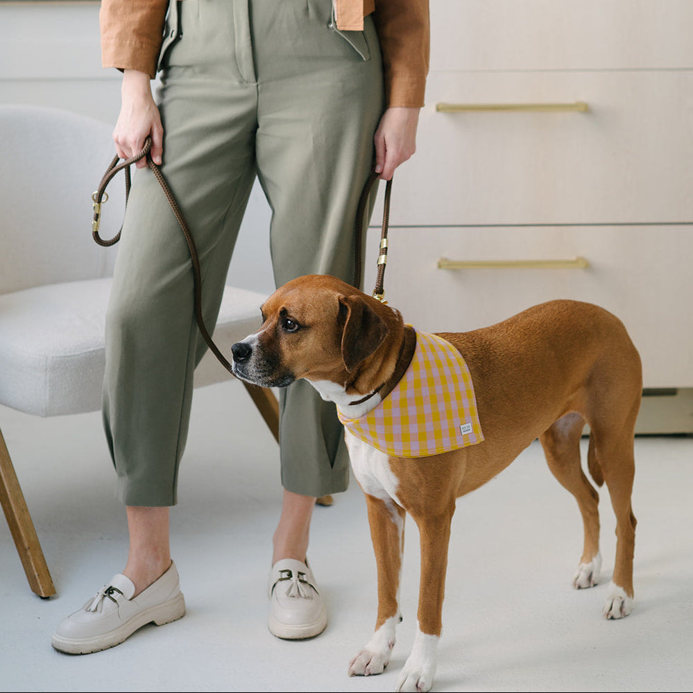 Woman standing with a dog wearing a checkered bandana indoors