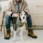 Man sitting with a dog wearing a patterned bandana in a kitchen setting