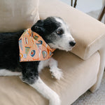 Dog wearing a colorful bandana on a beige couch