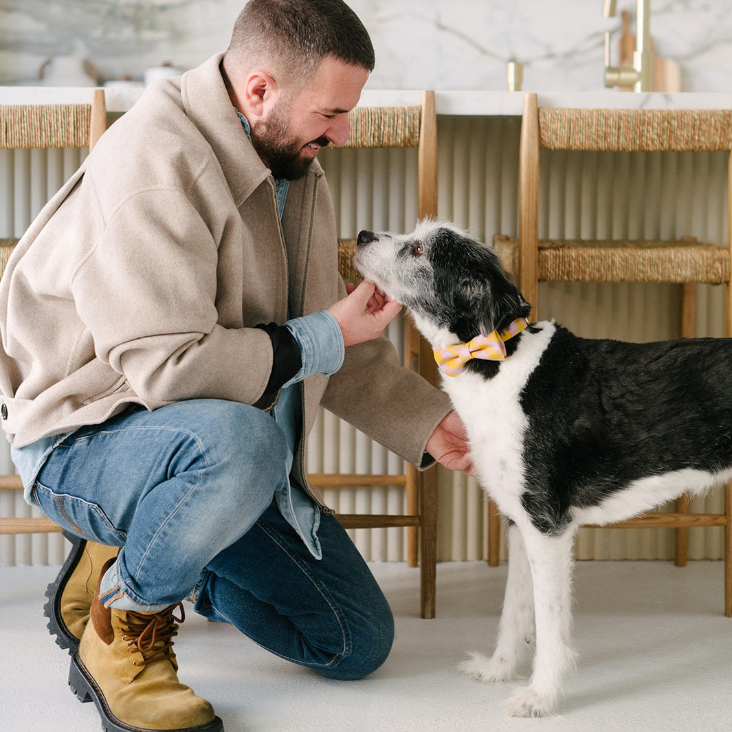 Man kneeling to pet a black and white dog in a kitchen.