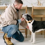 Man kneeling to pet a black and white dog in a kitchen.