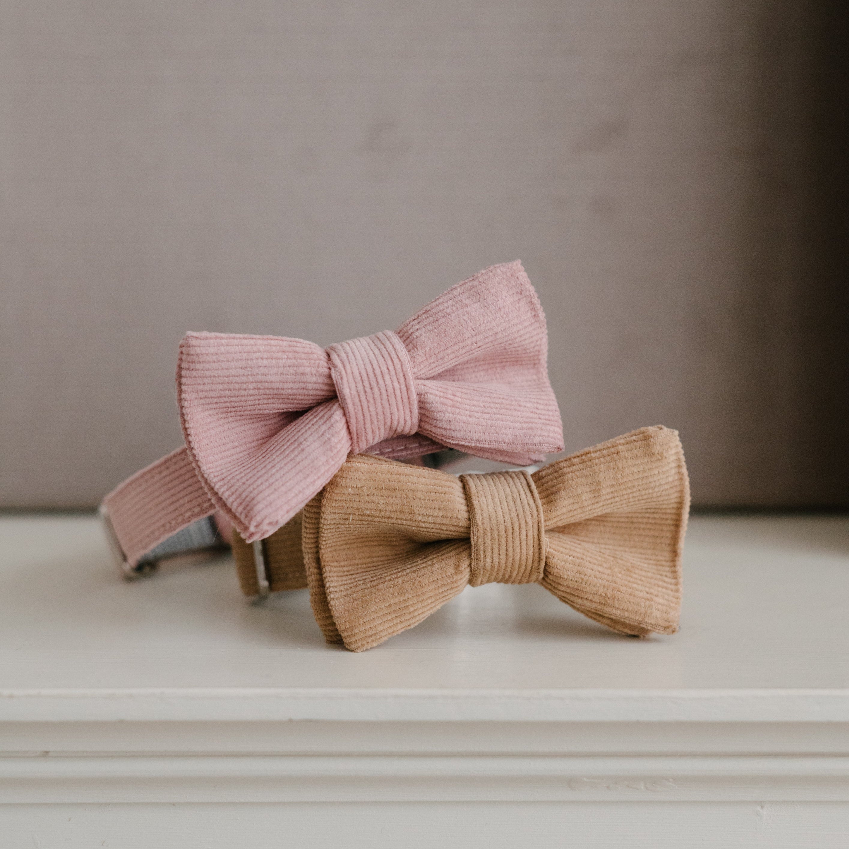 pink and tan corduroy dog collars with bos